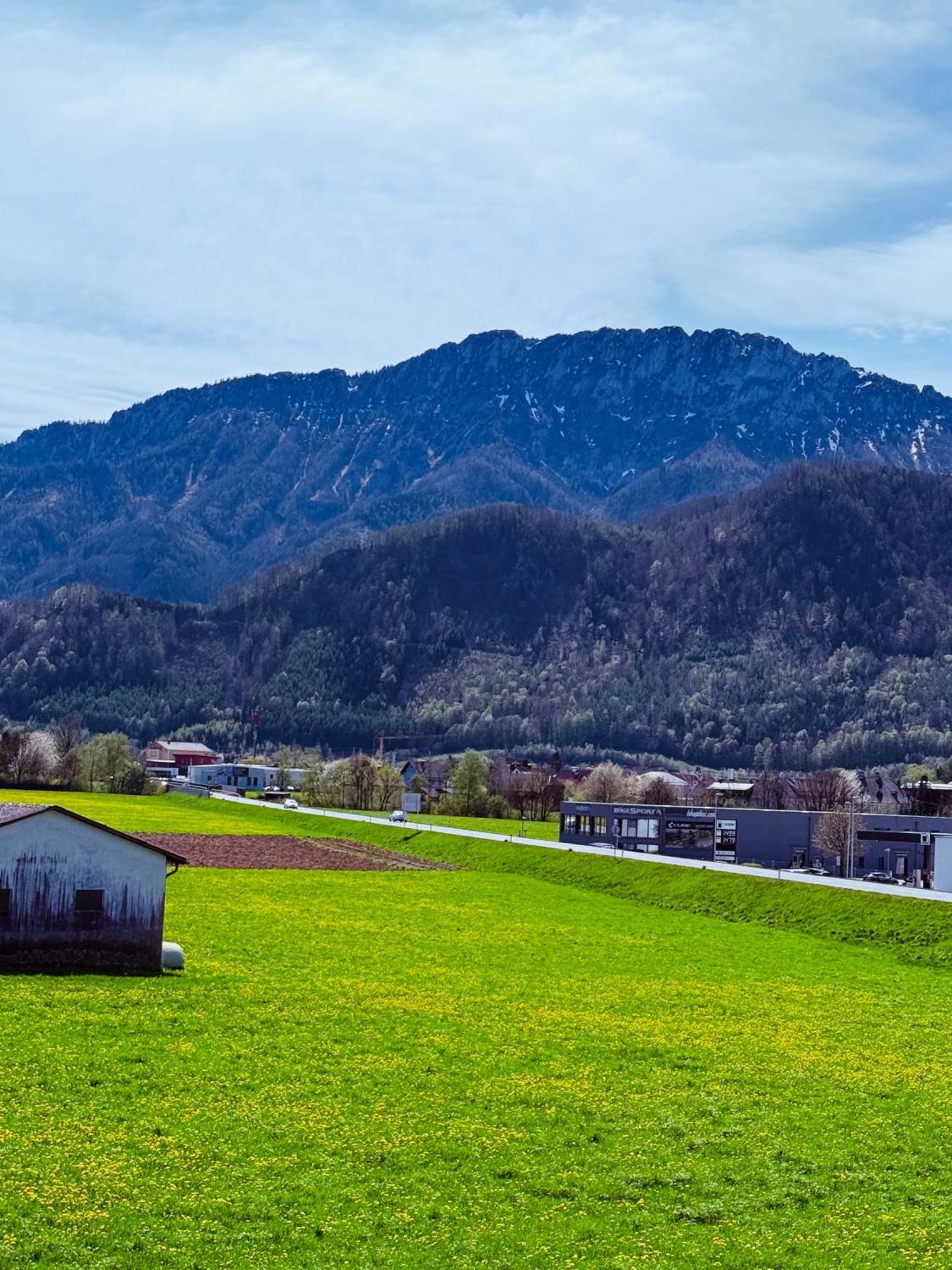 Zentrale Wohnung Mit Alpenblick Micheldorf in Oberosterreich Exterior photo